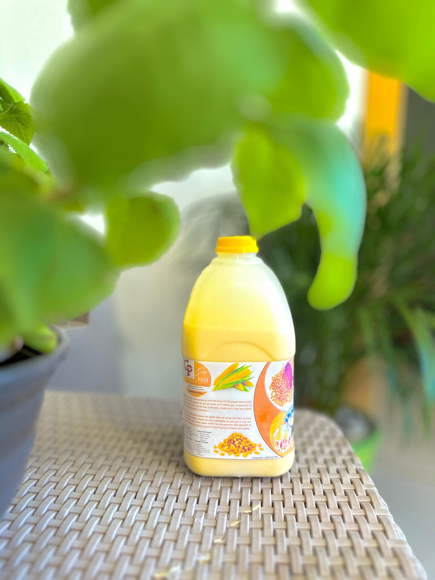 AKASAN 100% Naturel - Demi Galon - Sans mélange